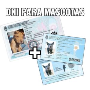 Plantilla DNI Mascota Simbolico